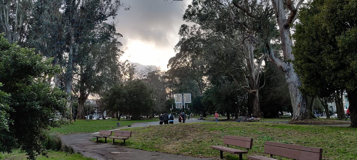 Viewings, viewings, viewings