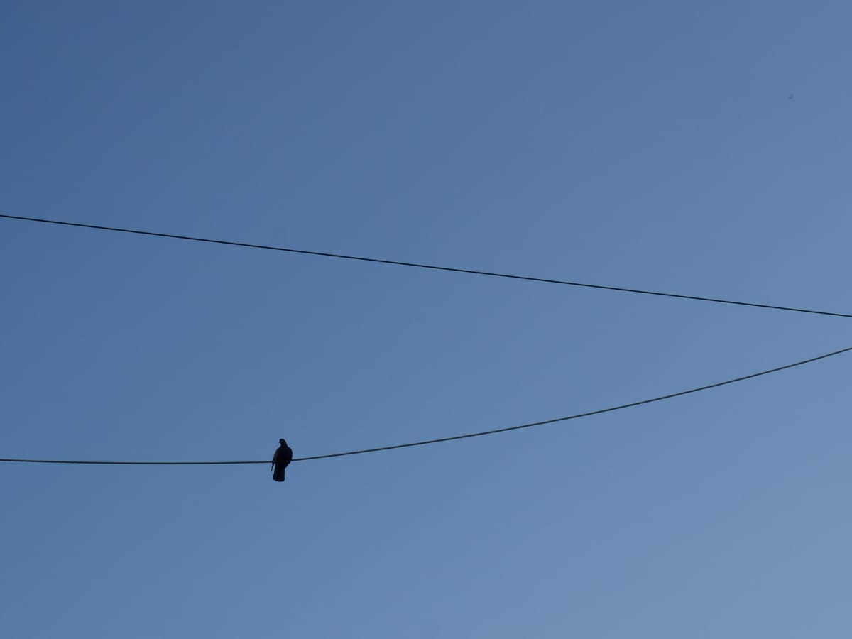 People who (don't) plan