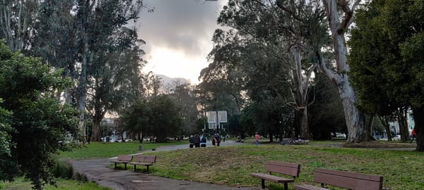 Viewings, viewings, viewings